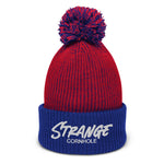 Strange Pom-Pom Beanie